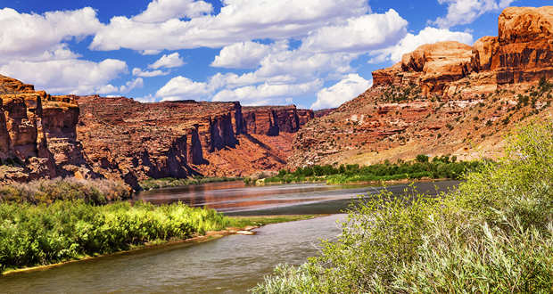 Utah National Monument - Manti La Sal National Forest #6