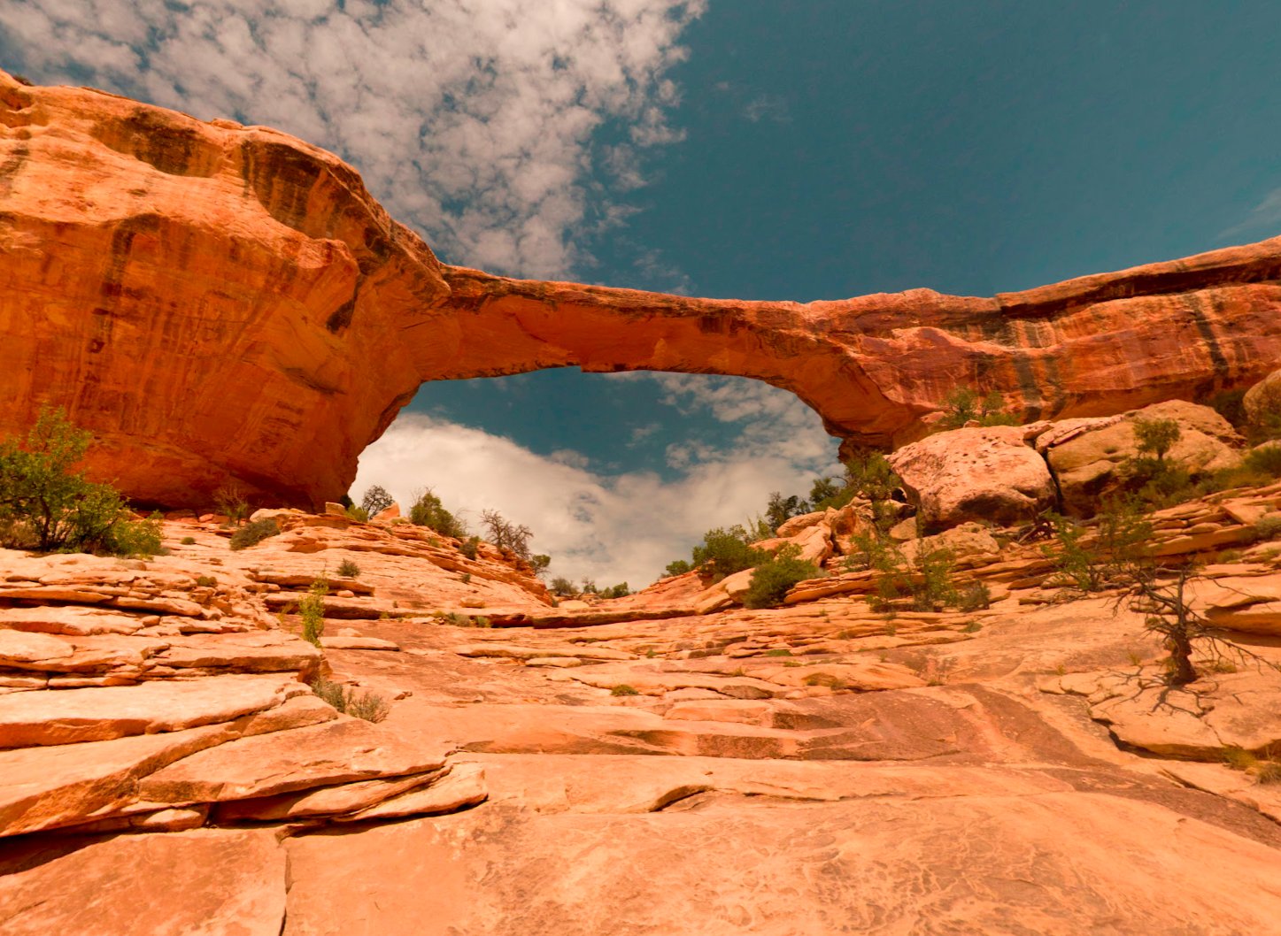 Utah National Monument - Natural Bridges #6