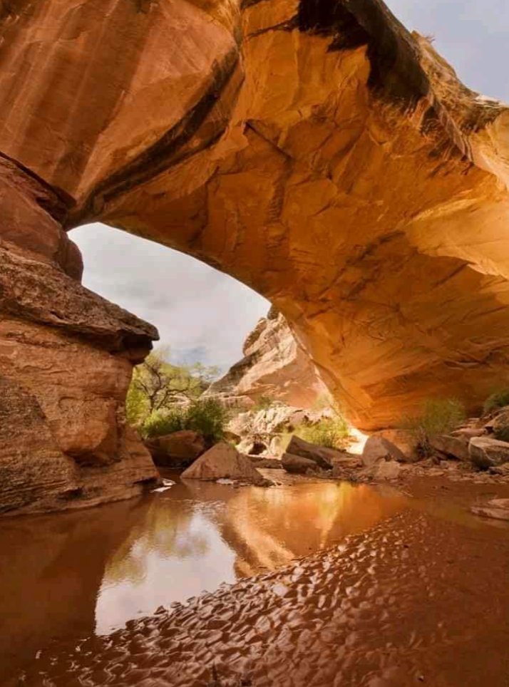 Utah National Monument - Natural Bridges #8