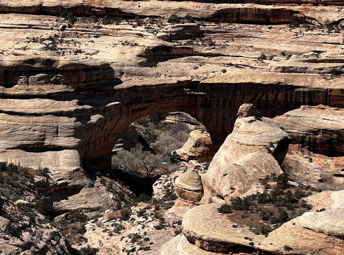 Utah National Monument - Natural Bridges #10