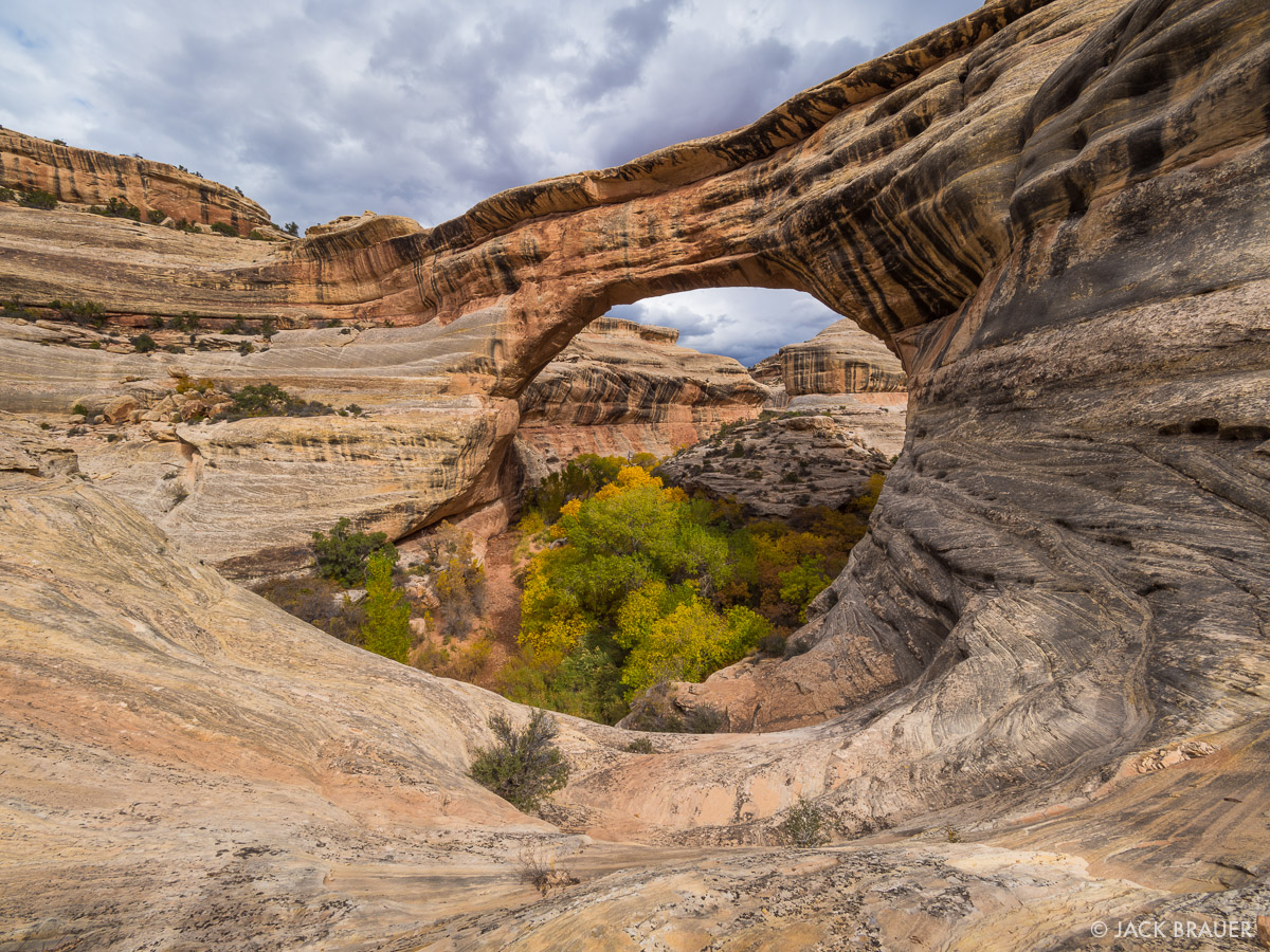Utah National Monument - Natural Bridges #11