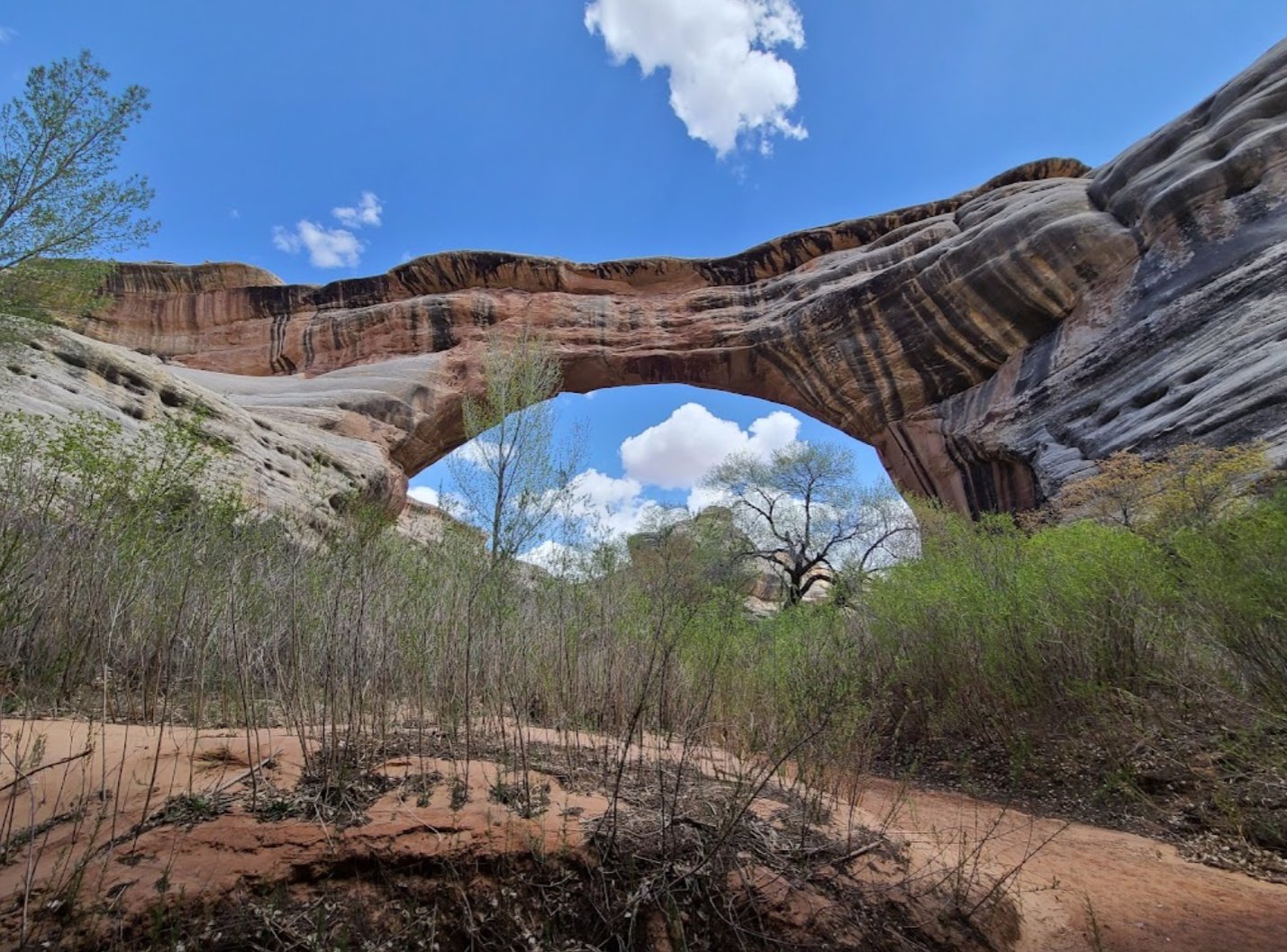 Utah National Monument - Natural Bridges #13