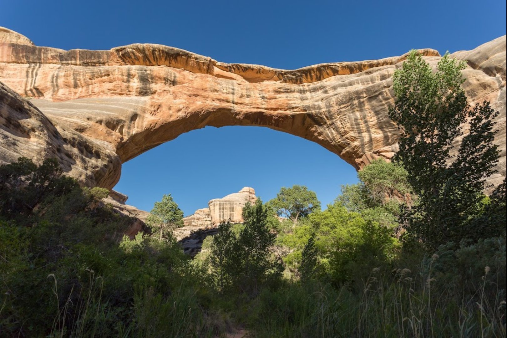 Utah National Monument - Natural Bridges #17