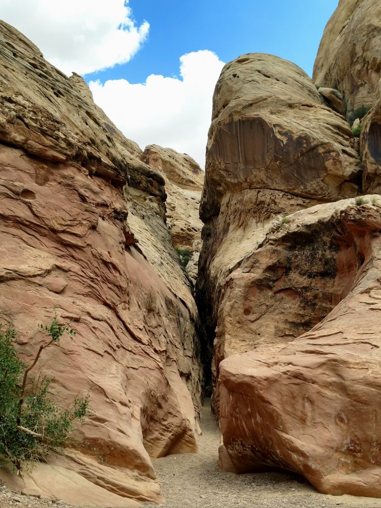 Little Wild Horse Canyon