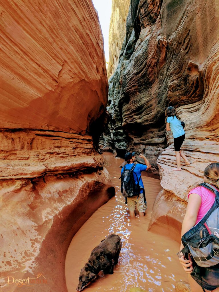 Little Wild Horse Canyon
