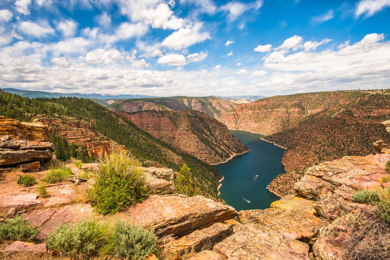 Utah National Monument - Ashley National Forest #3