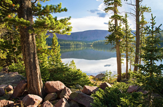 Utah National Monument - Ashley National Forest #4