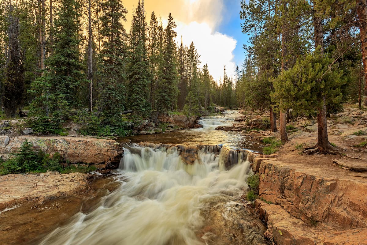 Utah National Monument - Ashley National Forest #5