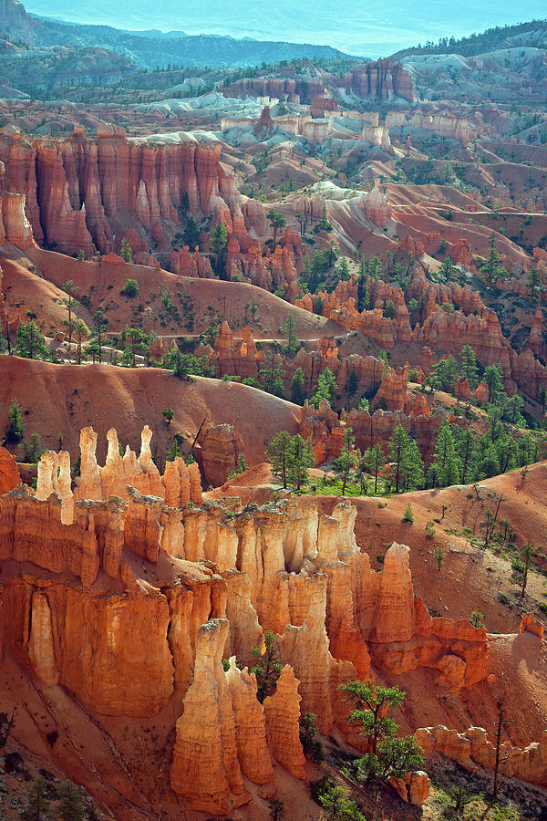 Utah National Monument - Cedar Breaks #5