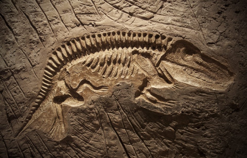 Utah National Monument - Dinosaur National Monument #6