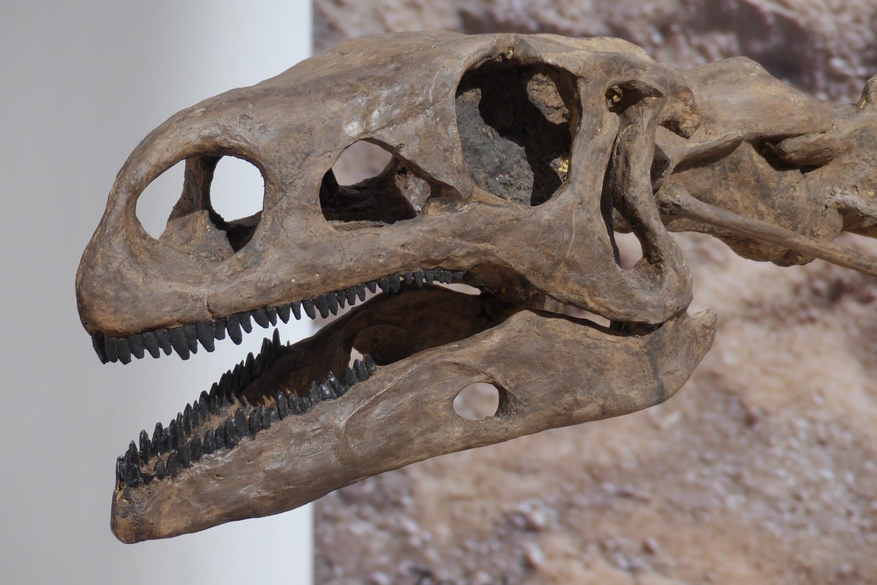 Utah National Monument - Dinosaur National Monument #8