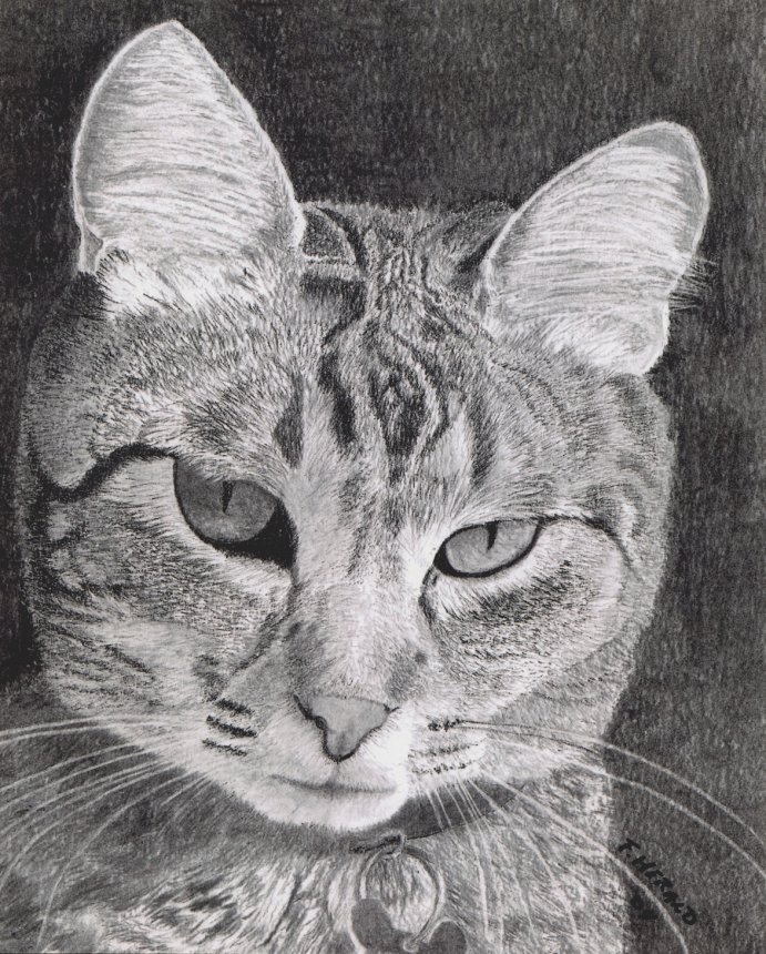 Floyd Herald Artwork