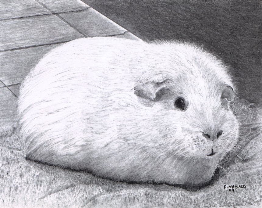 Floyd Herald Artwork