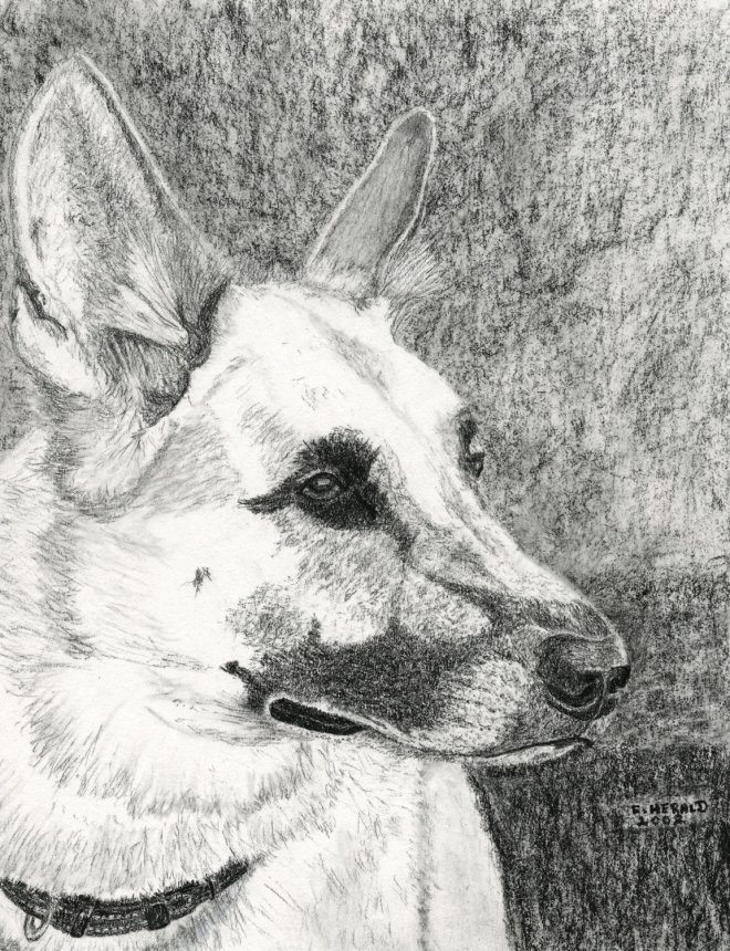 Floyd Herald Artwork