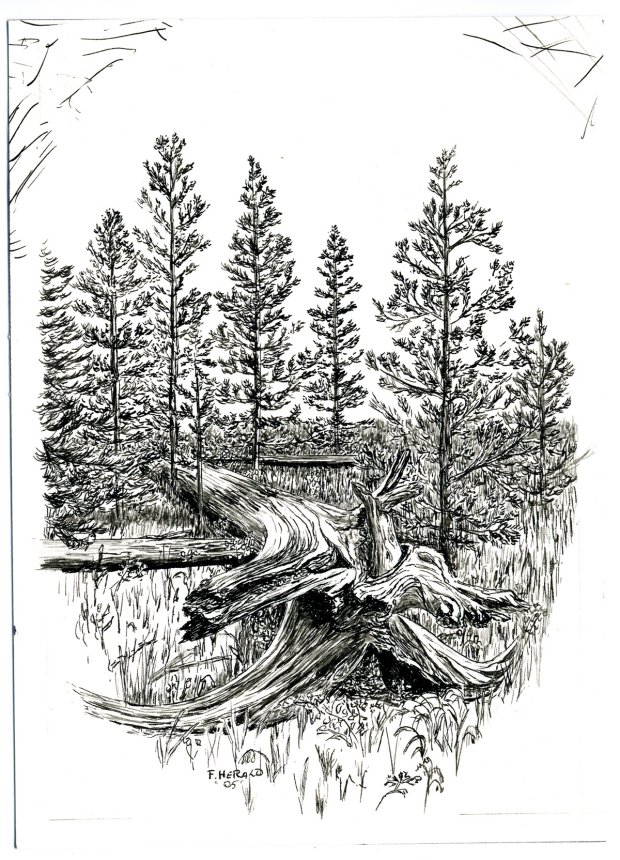 Floyd Herald Artwork