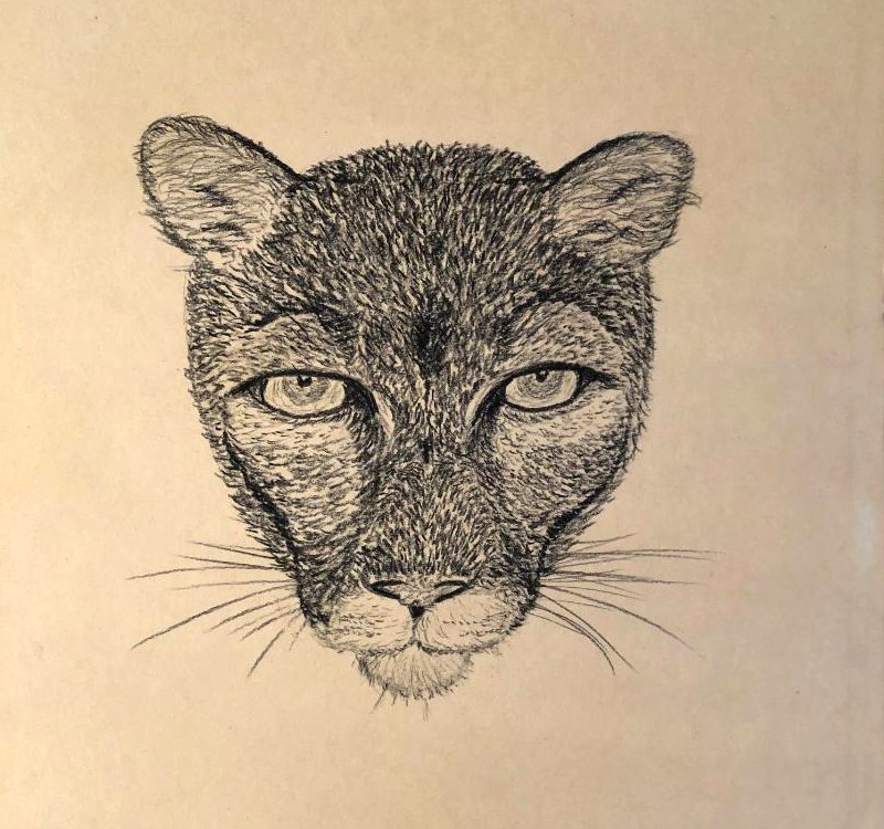 Floyd Herald Artwork