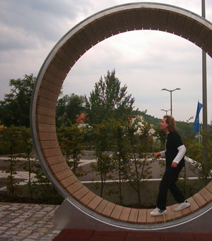 Photo #100